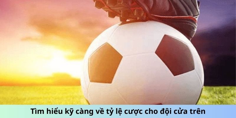 Tìm hiểu kỹ càng về tỷ lệ cược cho đội cửa trên