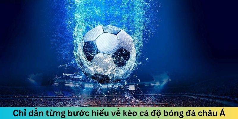 Chỉ dẫn từng bước hiểu về kèo cá độ bóng đá châu Á