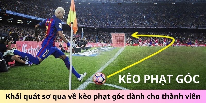 Tóm tắt nhanh về kèo phạt góc dành cho người chơi